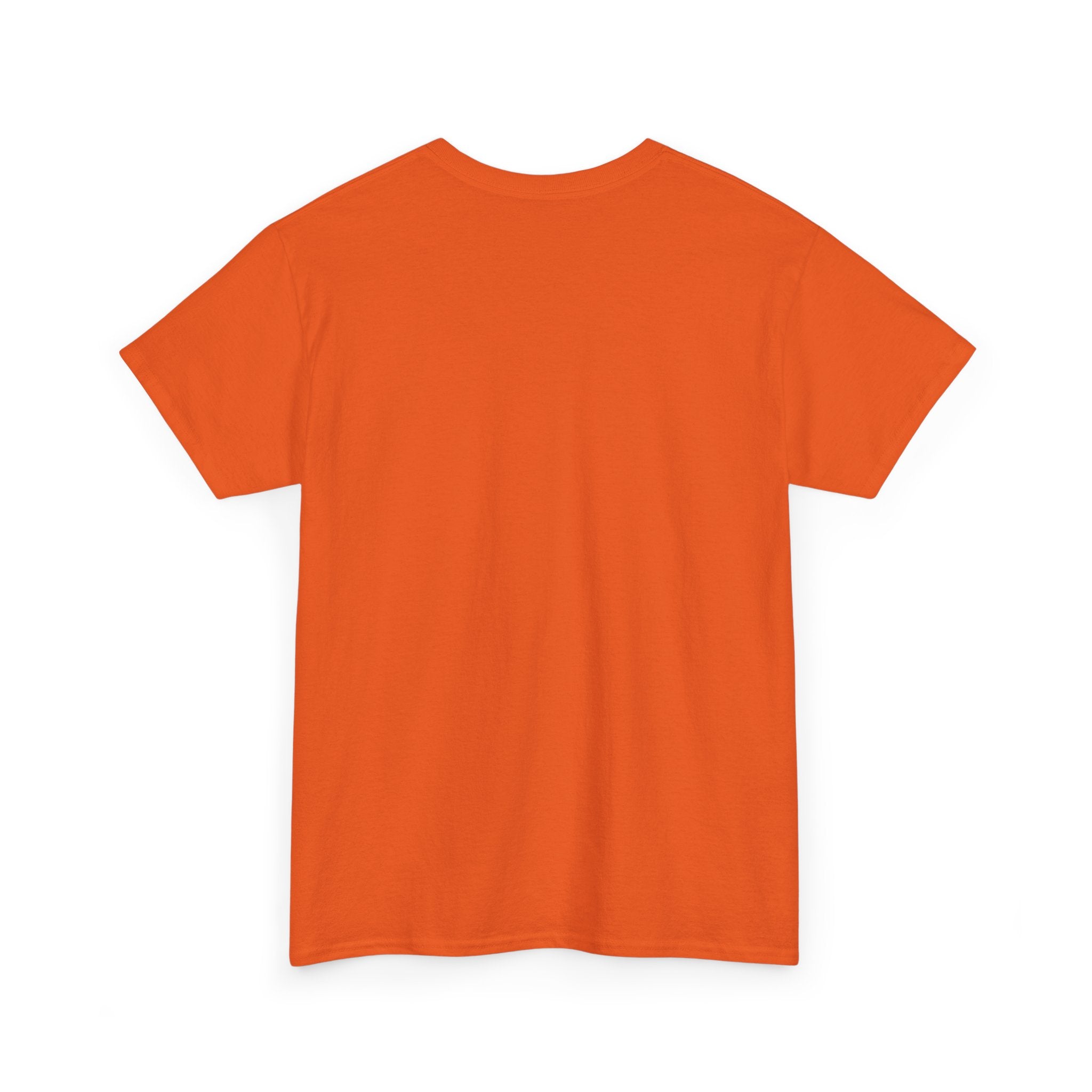 Chain Breaker Unisex Heavy Cotton Tee