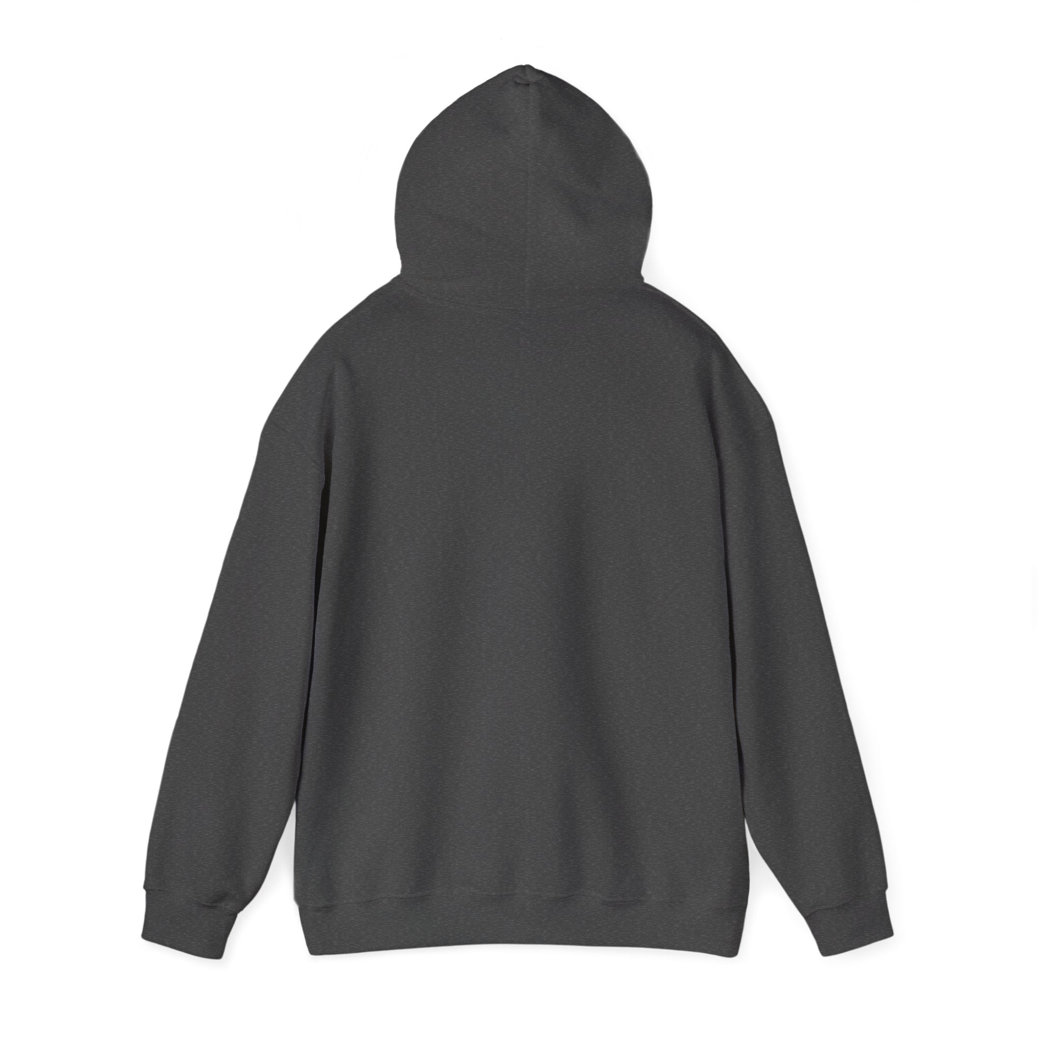 God's Chosen One Hoodie